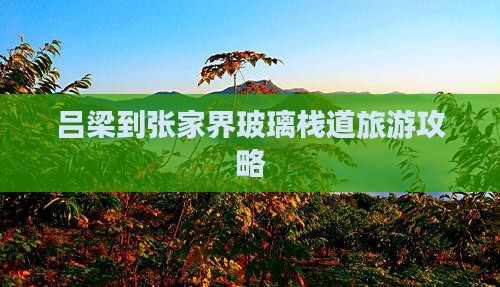 吕梁到张家界玻璃栈道旅游