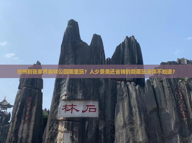 沧州到张家界森林公园哪里玩