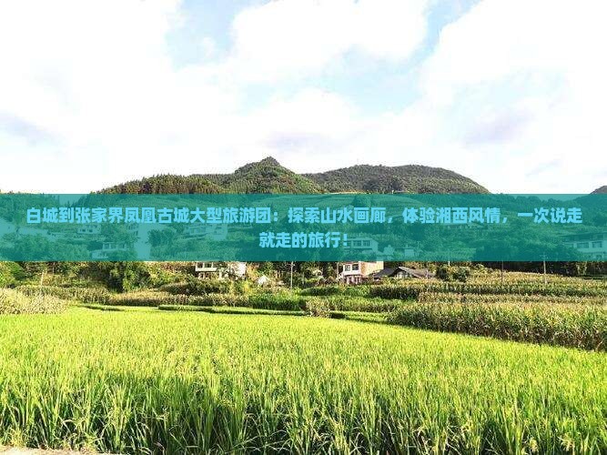 白城到张家界凤凰古城大型旅游团