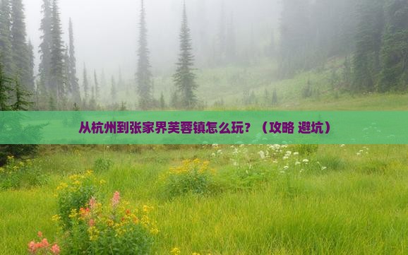 阿里去张家界芙蓉镇一日