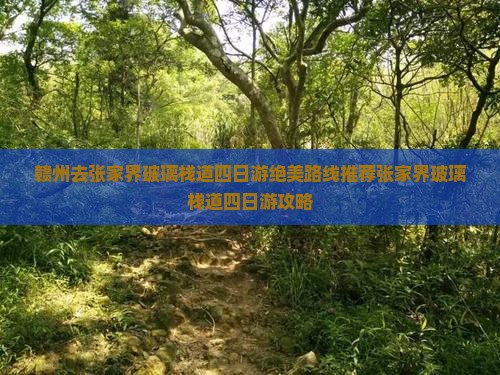 赣州去张家界玻璃栈道四日游