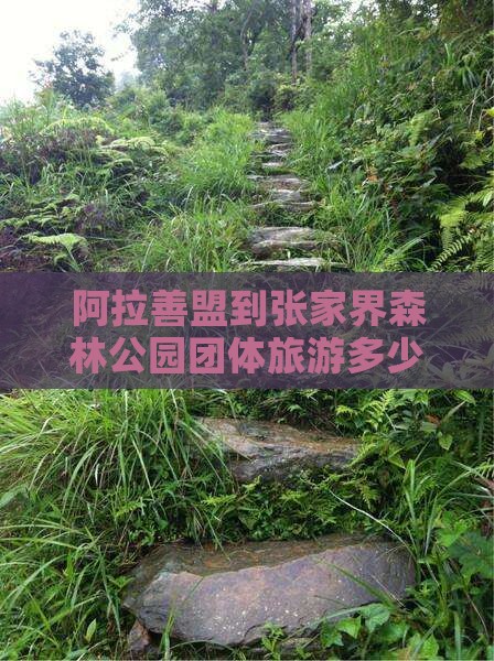 阿拉善盟到张家界森林公园团体旅游