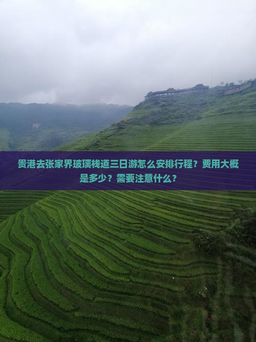 贵港去张家界玻璃栈道三日游怎么安排行程？费用大概是多少？需要注意什么？