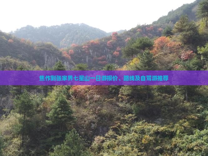 焦作到张家界七星山一日游报价、路线及自驾游推荐