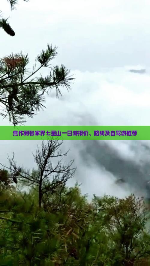 焦作到张家界七星山一日游报价、路线及自驾游推荐