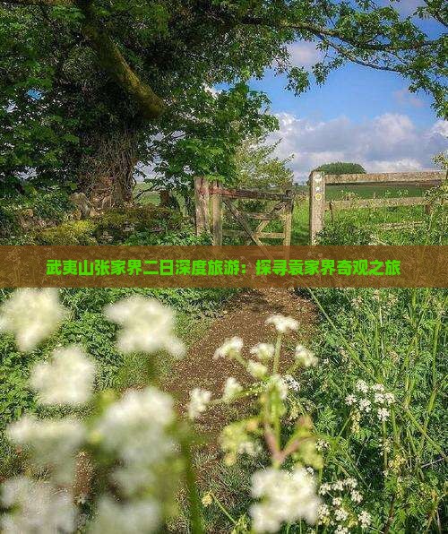 武夷山张家界二日深度旅游：探寻袁家界奇观之旅