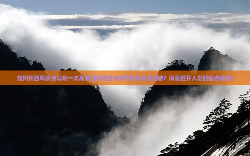 如何在西双版纳规划一次高效且舒适的张家界袁家界五日游？探索避开人潮的痛点攻略！