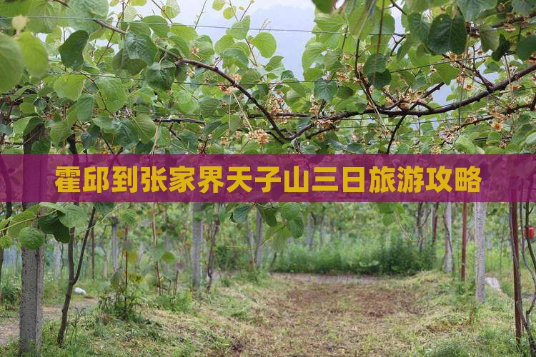 霍邱到张家界天子山三日旅游攻略