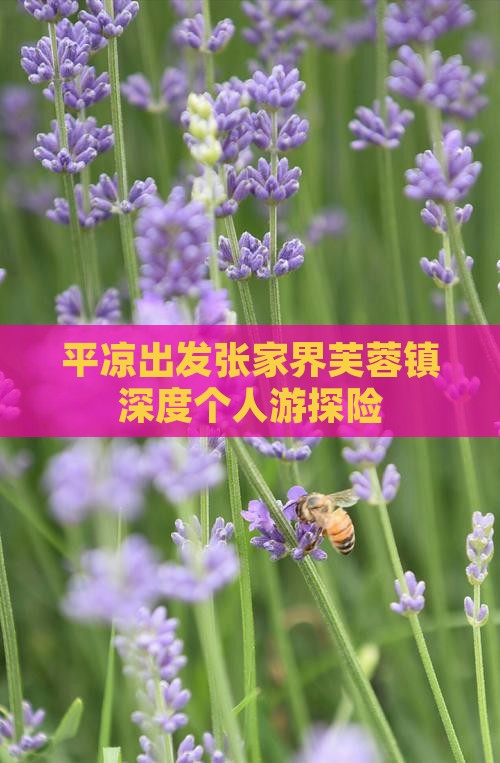 平凉出发张家界芙蓉镇深度个人游探险