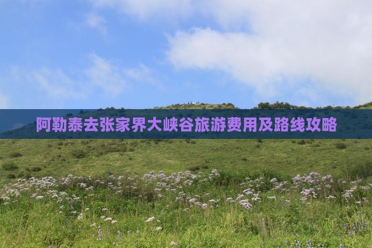 阿勒泰去张家界大峡谷旅游费用及路线攻略