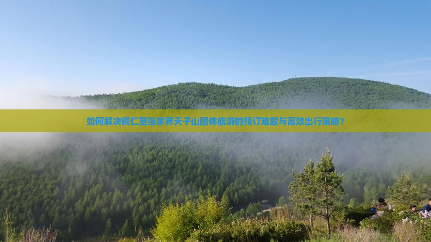 如何解决铜仁至张家界天子山团体旅游的预订难题与高效出行策略？