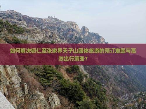 如何解决铜仁至张家界天子山团体旅游的预订难题与高效出行策略？