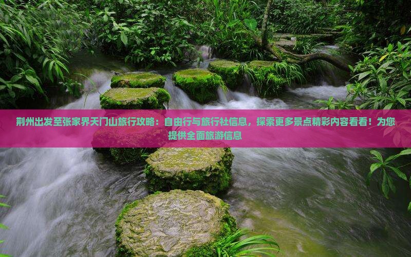荆州出发至张家界天门山旅行攻略：自由行与旅行社信息，探索更多景点精彩内容看看！为您提供全面旅游信息