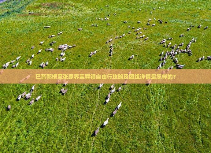 巴音郭楞至张家界芙蓉镇自由行攻略及团组详情是怎样的？