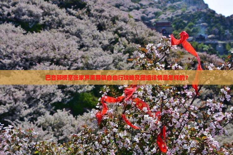 巴音郭楞至张家界芙蓉镇自由行攻略及团组详情是怎样的？