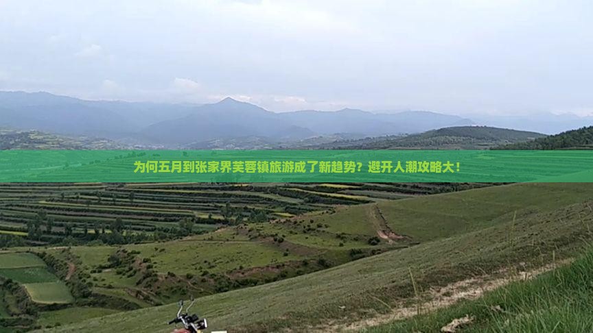 为何五月到张家界芙蓉镇旅游成了新趋势？避开人潮攻略大！