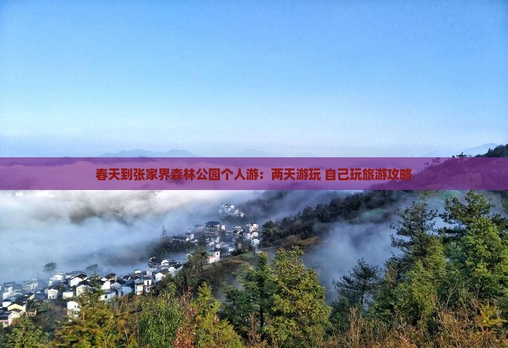 春天到张家界森林公园个人游：两天游玩+自己玩旅游攻略