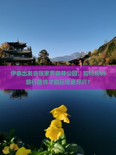 伊春出发去张家界森林公园，如何规划旅行路线才能玩得更尽兴？