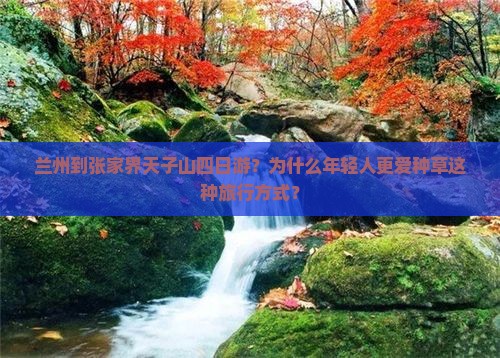 兰州到张家界天子山四日游？为什么年轻人更爱种草这种旅行方式？