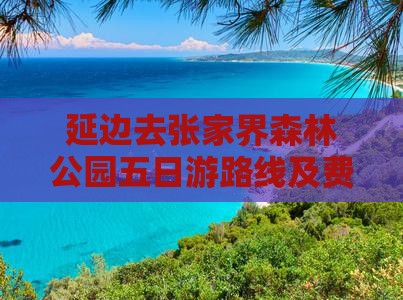 延边去张家界森林公园五日游路线及费用