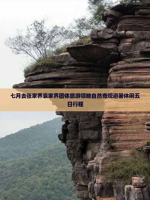 七月去张家界袁家界团体旅游领略自然奇观避暑休闲五日行程