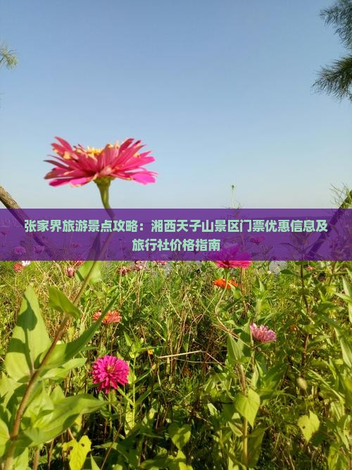 张家界旅游景点攻略：湘西天子山景区门票优惠信息及旅行社价格指南
