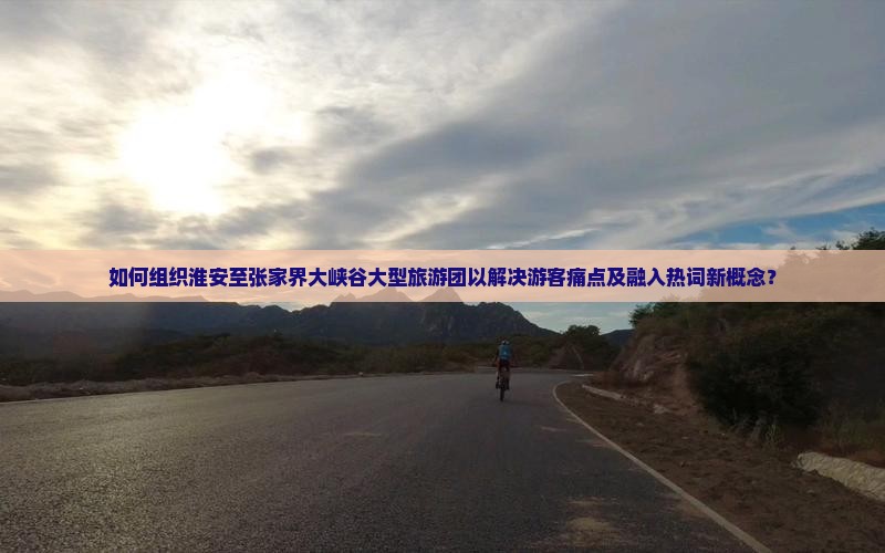 如何组织淮安至张家界大峡谷大型旅游团以解决游客痛点及融入热词新概念？