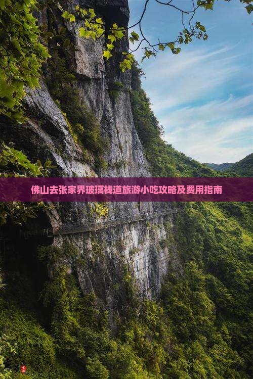 佛山去张家界玻璃栈道旅游小吃攻略及费用指南
