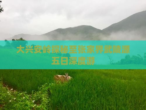 大兴安岭探秘至张家界武陵源五日深度游