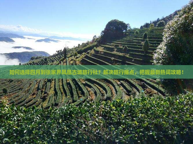 如何选择四月到张家界凤凰古城旅行社？解决旅行痛点，把握最新热词攻略！