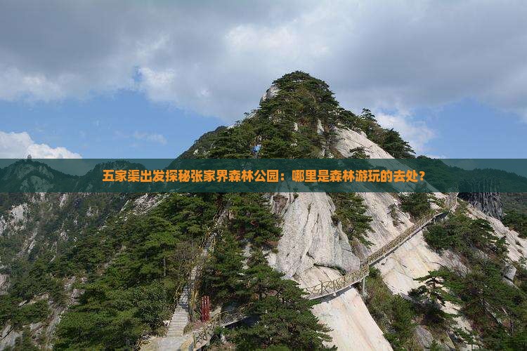 五家渠出发探秘张家界森林公园：哪里是森林游玩的去处？
