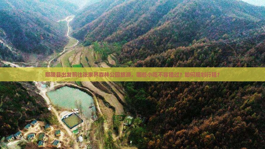鄢陵县出发前往张家界森林公园旅游，哪些小吃不容错过？如何规划行程？