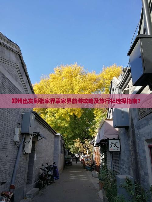 郑州出发到张家界袁家界旅游攻略及旅行社选择指南？