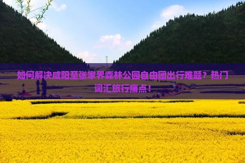 如何解决咸阳至张家界森林公园自由团出行难题？热门词汇旅行痛点！