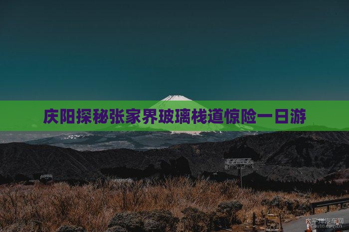 庆阳探秘张家界玻璃栈道惊险一日游