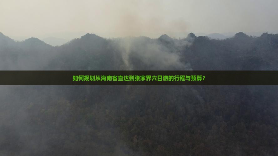 如何规划从海南省直达到张家界六日游的行程与预算？