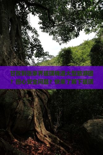甘孜到张家界玻璃栈道大型旅游团？担心安全问题？快来了解下玻璃栈道新玩法