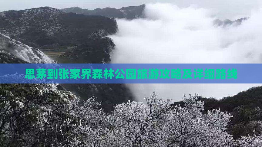 思茅到张家界森林公园旅游攻略及详细路线