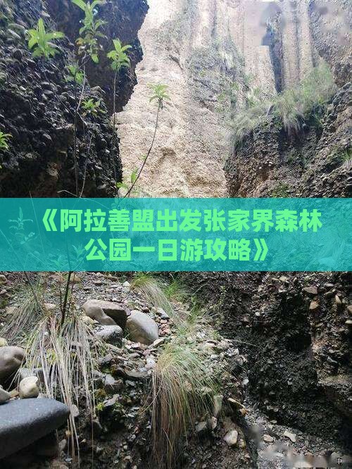 《阿拉善盟出发张家界森林公园一日游攻略》