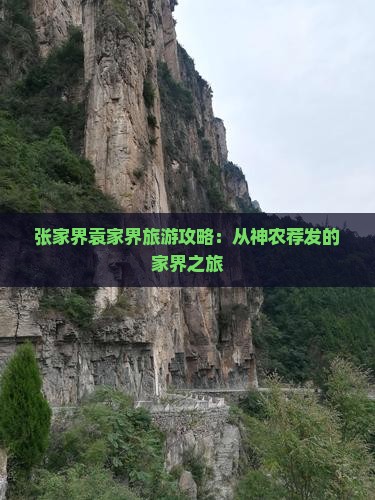 张家界袁家界旅游攻略：从神农荐发的家界之旅