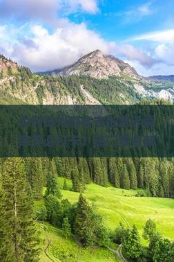 为何随州游客去张家界袁家界必打卡？热门景点新玩法与痛点！