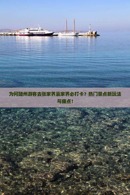 为何随州游客去张家界袁家界必打卡？热门景点新玩法与痛点！