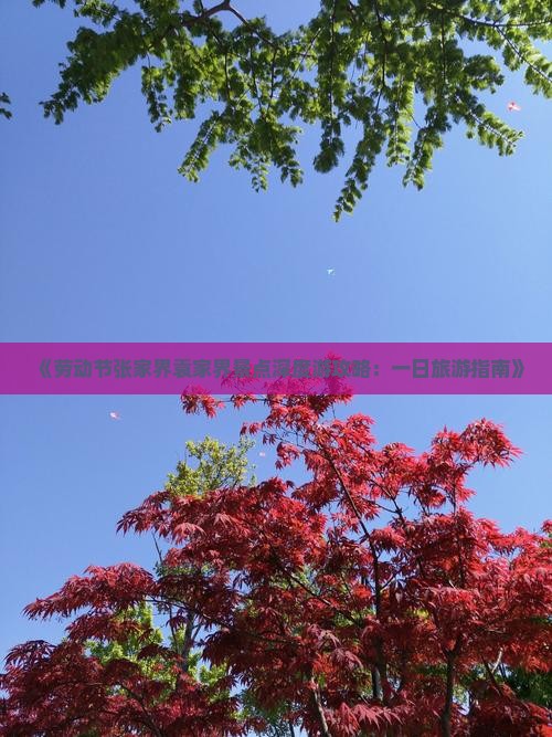 《劳动节张家界袁家界景点深度游攻略：一日旅游指南》