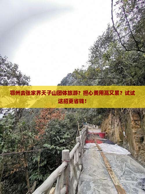 鄂州去张家界天子山团体旅游？担心费用高又累？试试这招更省钱！