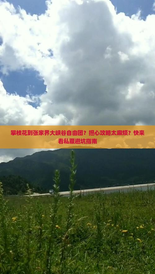 攀枝花到张家界大峡谷自由团？担心攻略太麻烦？快来看私藏避坑指南