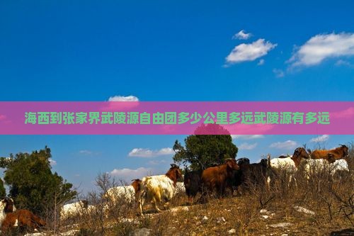 海西到张家界武陵源自由团多少公里多远武陵源有多远
