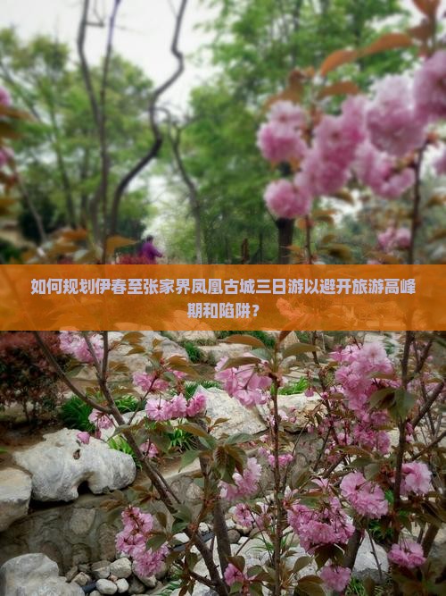 如何规划伊春至张家界凤凰古城三日游以避开旅游高峰期和陷阱？