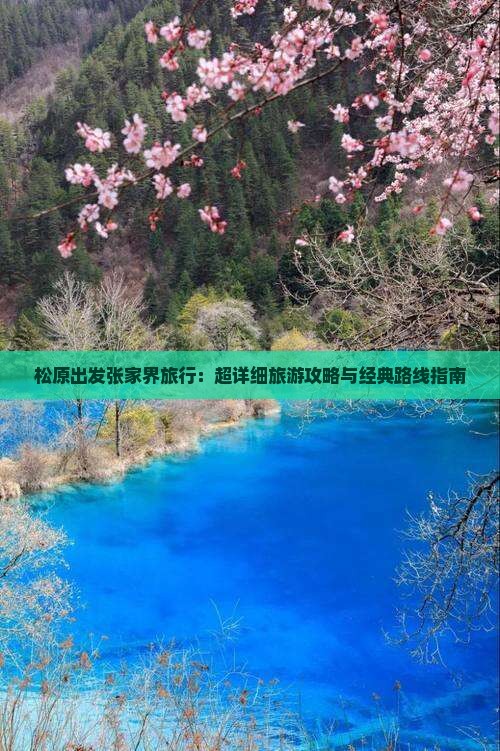 松原出发张家界旅行：超详细旅游攻略与经典路线指南