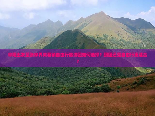 阜阳出发至张家界芙蓉镇自由行旅游团如何选择？跟团还是自由行更适合？