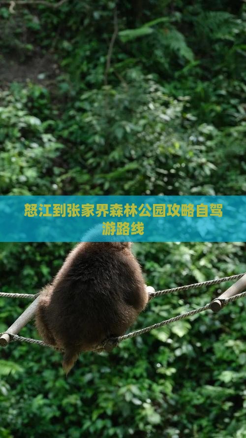 怒江到张家界森林公园攻略自驾游路线
